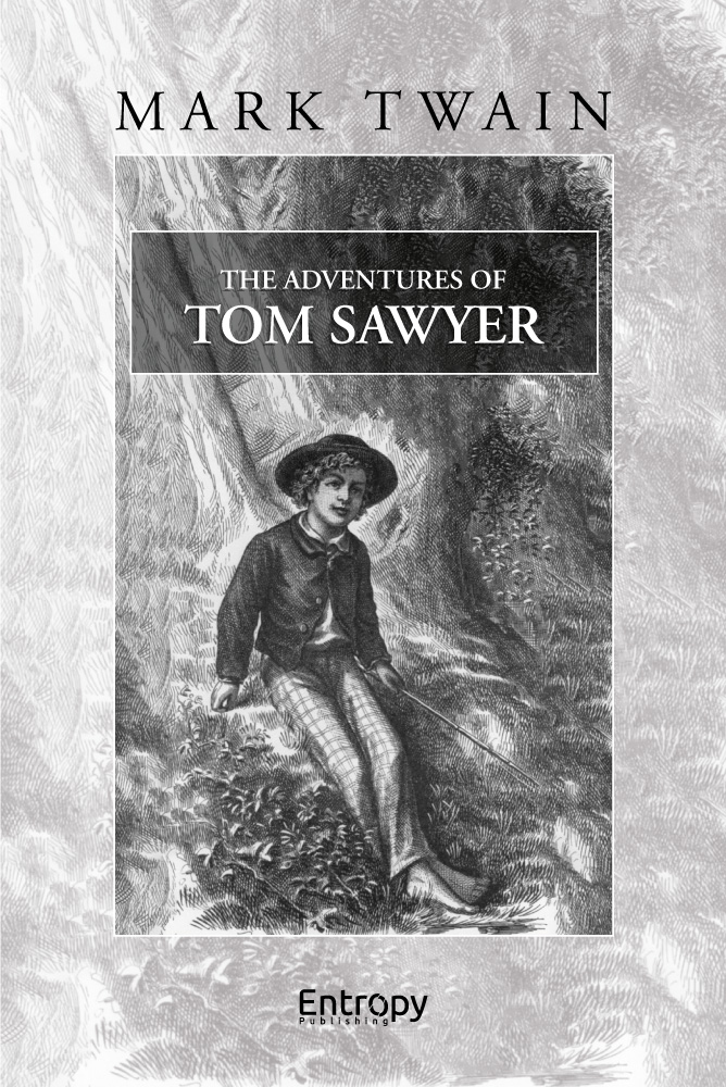 tom-sawyer-for-entropy